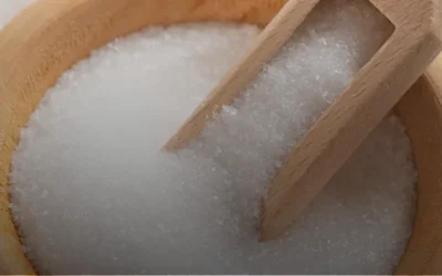 Umami y Glutamato: beneficios científicamente probados para la salud